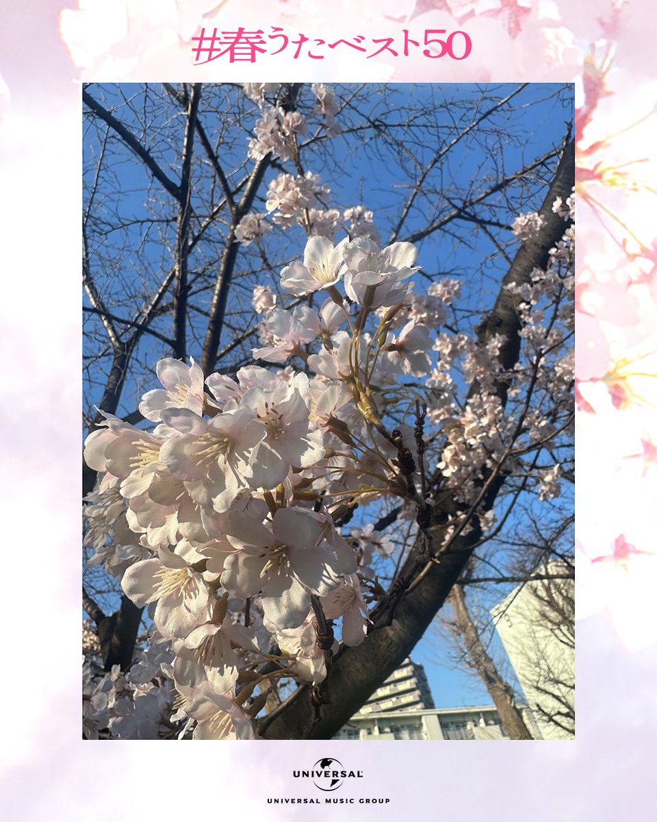 umusicjapan tweet media