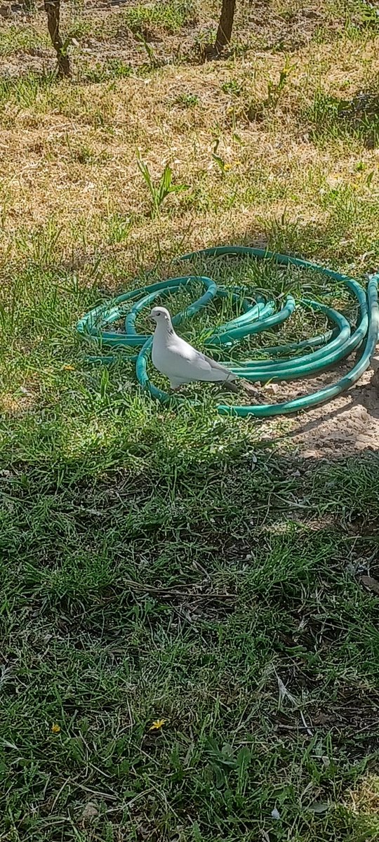 🦂matrix2218🦂💘💘 tweet media