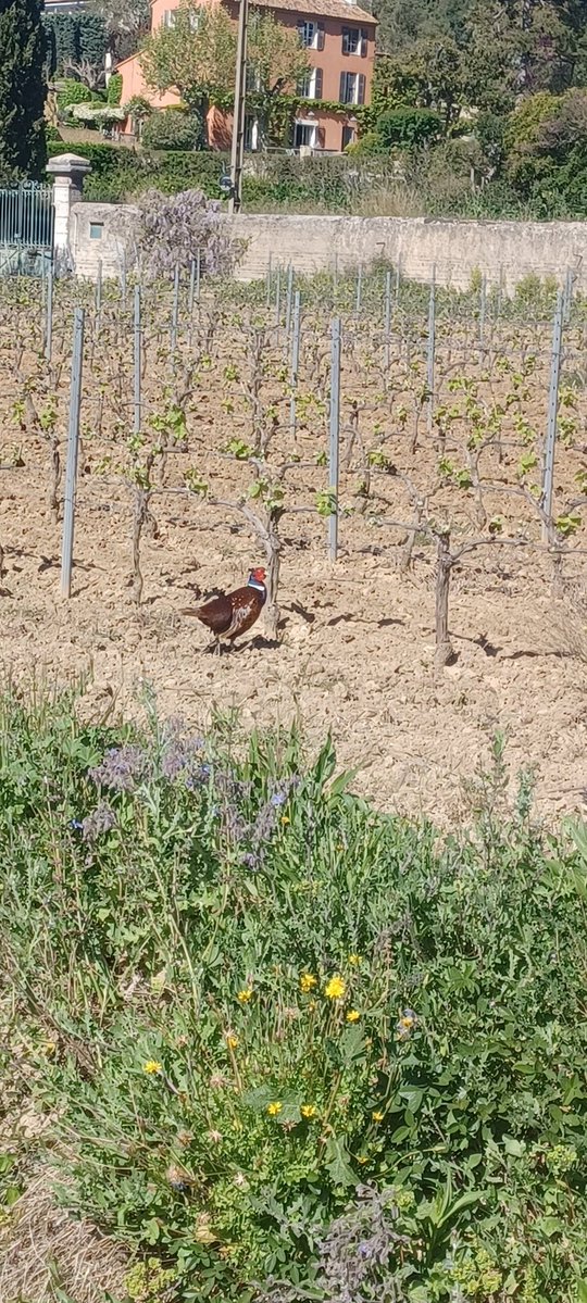 🦂matrix2218🦂💘💘 tweet media