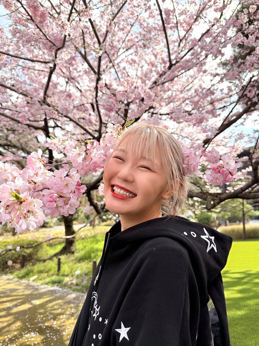 ハラミちゃん🍖🎹47都道府県ツアー！ tweet media