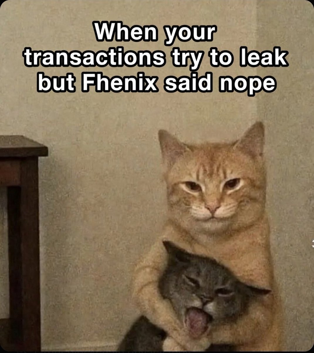 When your transactions try to leak but <a href="/fhenix/">Fhenix</a> said nope 😂 
<a href="/RedactMoney/">Redact ⚪️</a> <a href="/Asterix54907294/">Asterix</a>