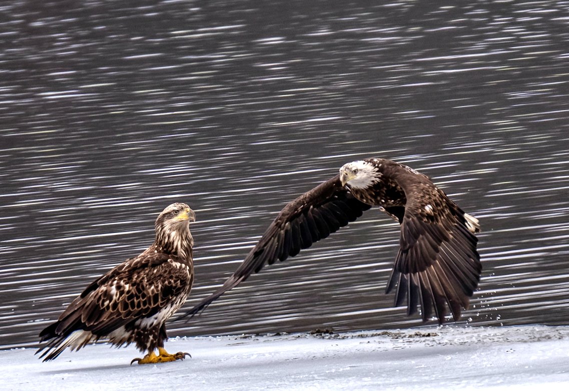 Henry Hintermeister tweet media