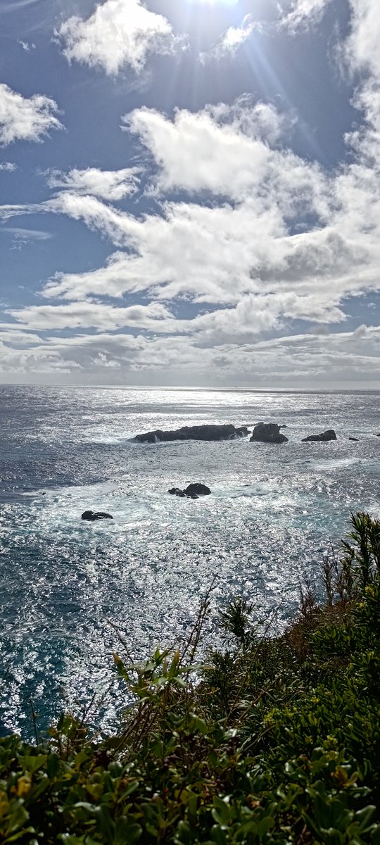 ちらしずしいくら抜き tweet media