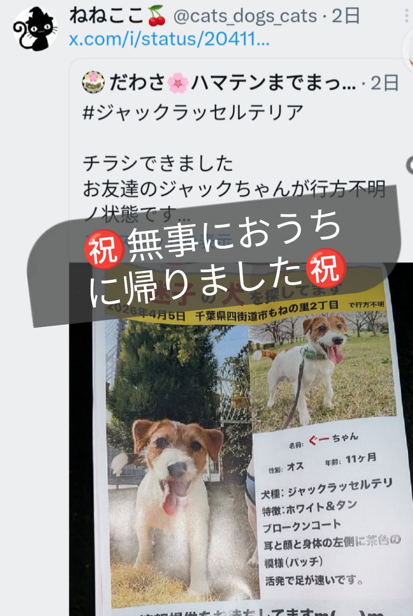 ねねここ🍒 tweet media