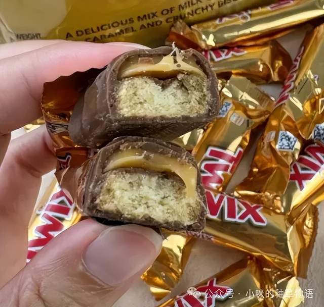 alyson gauthier tweet media