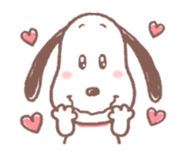 すぬちゃん tweet media