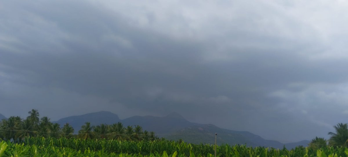 Kalyanasundaram tweet media