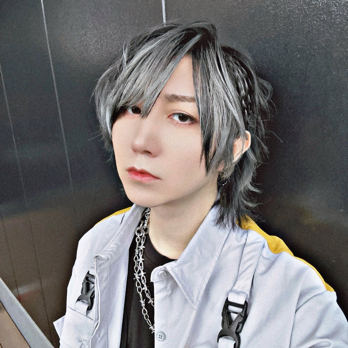 モリス レイ tweet media