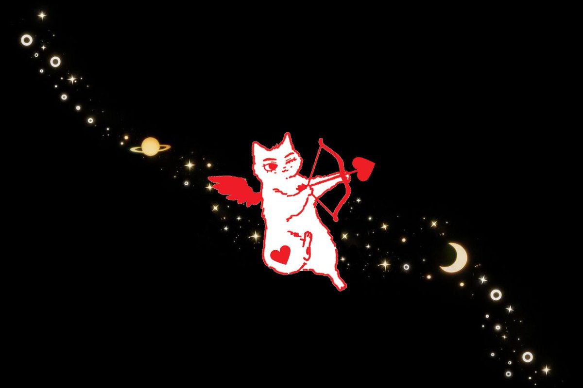 WhereIsMyCat? tweet media