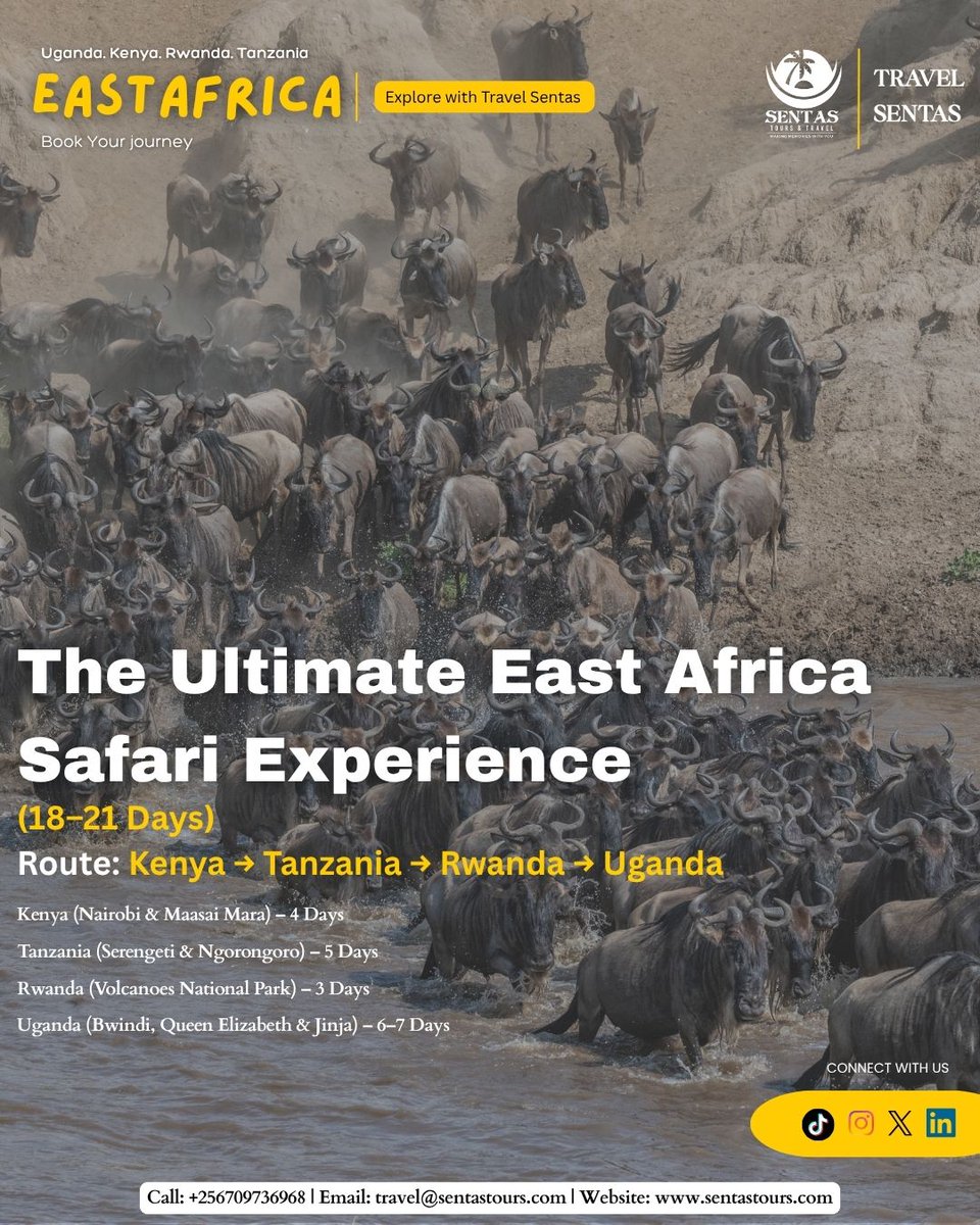 What to expect on a safari in East Africa?
Sunrise game drives in Maasai Mara National Reserve &amp; Serengeti National Park. Hot air balloon views. Ngorongoro Crater moments. Gorilla trekking in Bwindi &amp; Volcanoes Rwanda.
Boat cruises.
Raw. Wild. Unforgettable.
#TravelSentasuganda