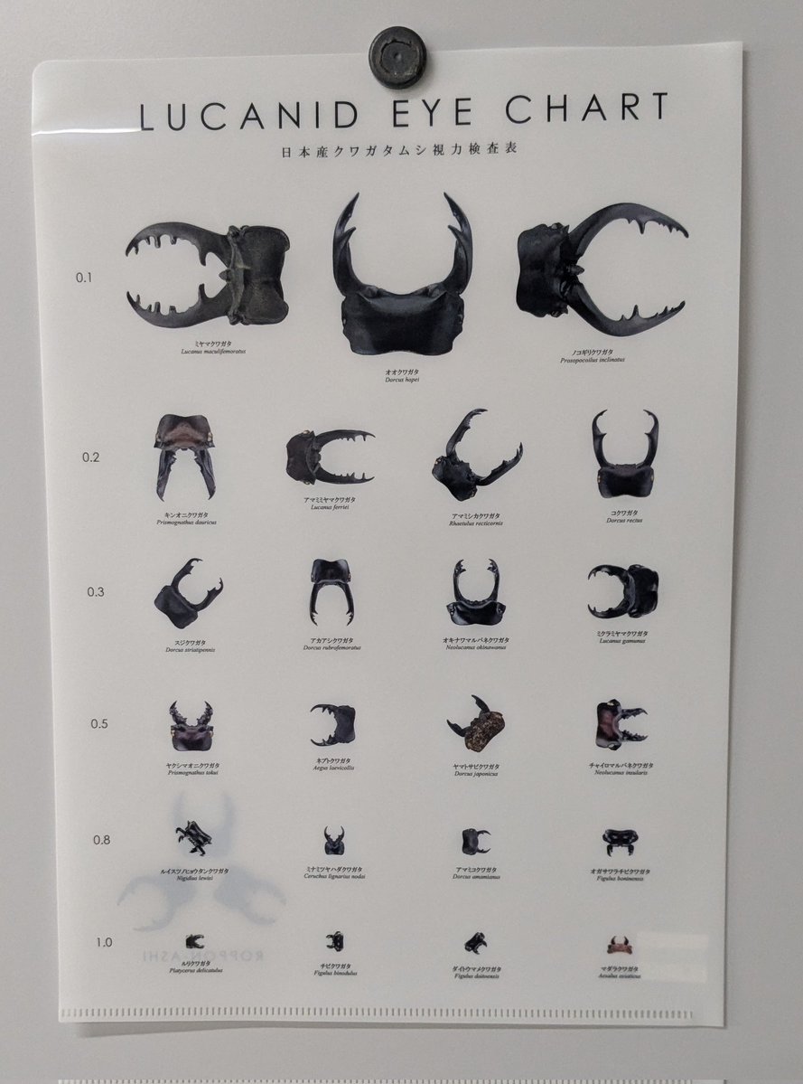 藤井一至 (土の研究者) tweet media