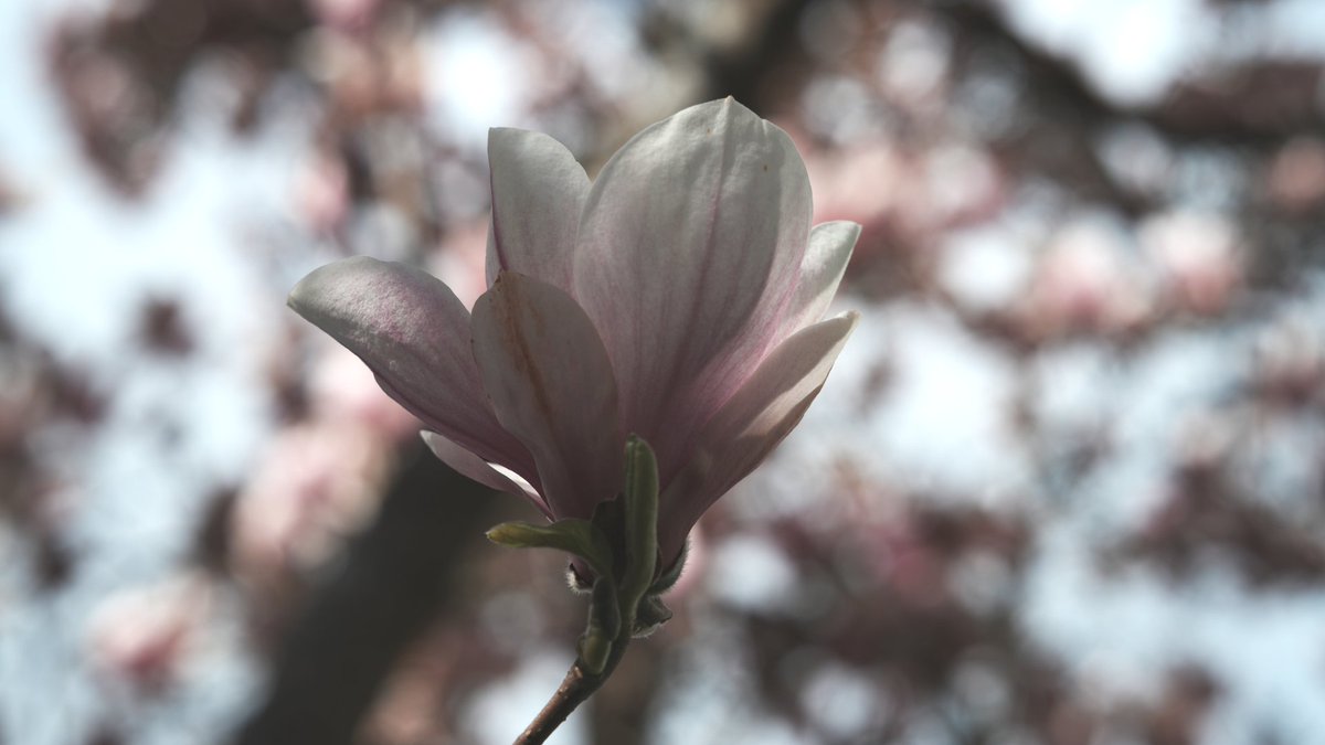 K375 Design Team (@k375designteam) on Twitter photo 