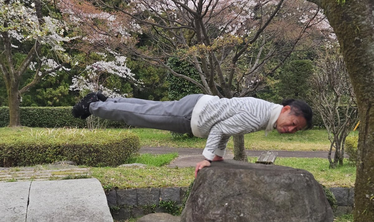 今年もまだ出来ました❗#木暮陶句郎　#桜　#ワニのポーズ