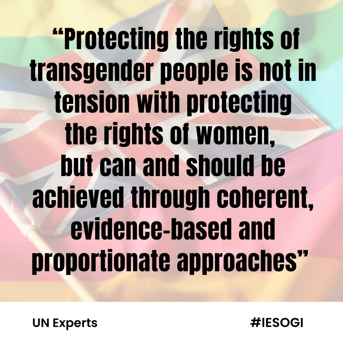 IESOGI's tweet photo. Together with fellow UN experts, I called on the United Kingdom to ensure that its review of statutory guidance under the Equality Act fully complies with international human rights law and guarantees equal protection for transgender people and all women and girls. 

#IESOGI #UN https://t.co/AdU2VVZnml