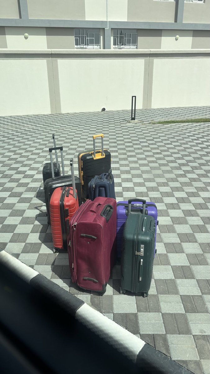 شِتات tweet media