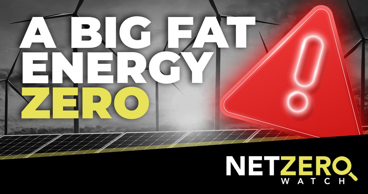 Net Zero Watch tweet media
