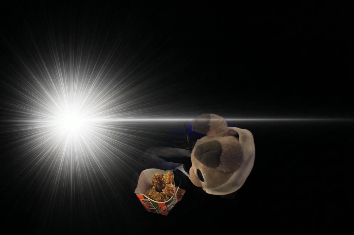 てぃあわん🐶🐾たそがれのすがた tweet media