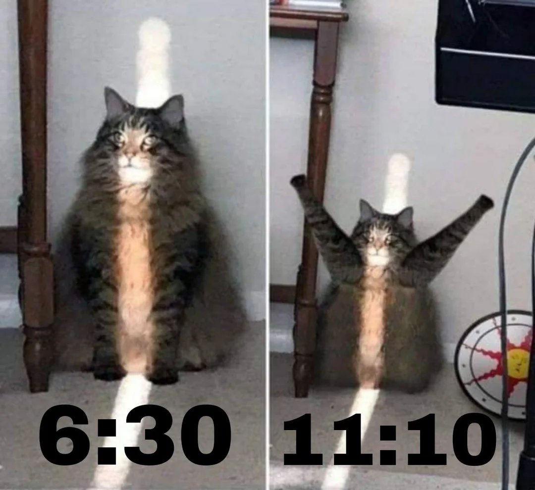 Página Séria. tweet media