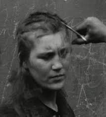 Jan van Groningen tweet media