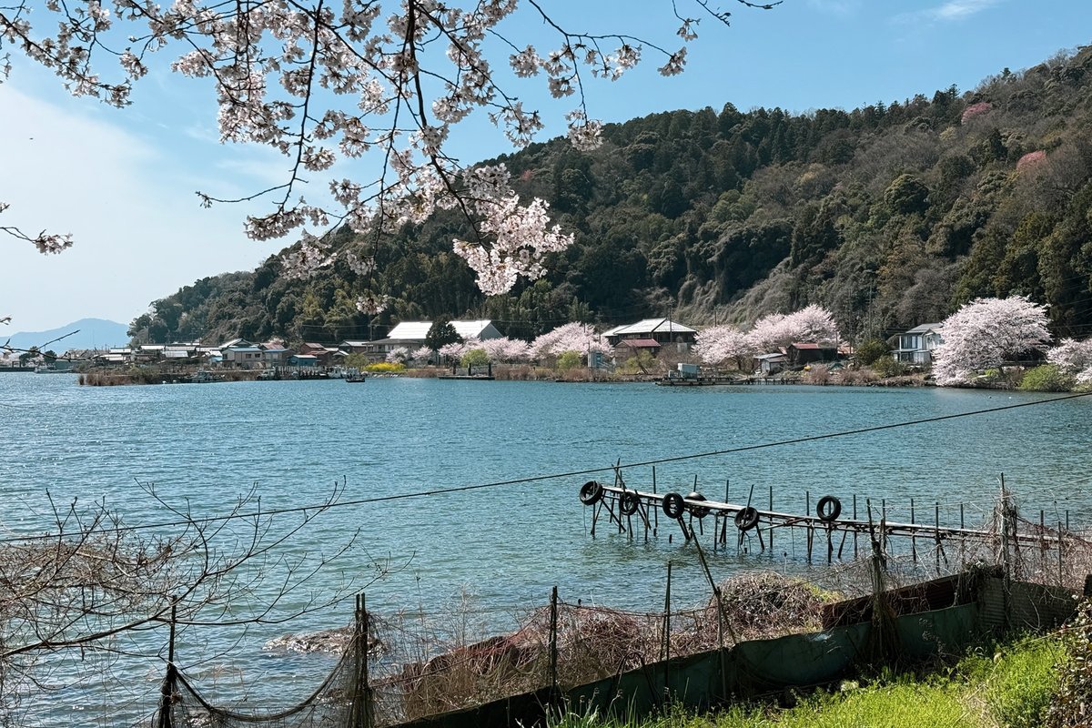 7段 tweet media