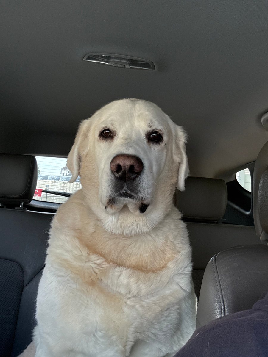 Showroom Partners Entertainment tweet media