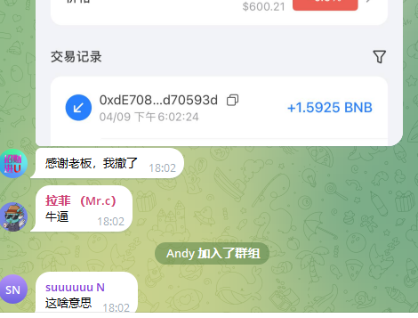 BNB拍卖 tweet media