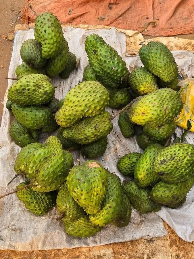 jacobshukuru's tweet photo. Comment s’appelle ce fruit vert à la peau épineuse ? https://t.co/b9WrjKAGIr