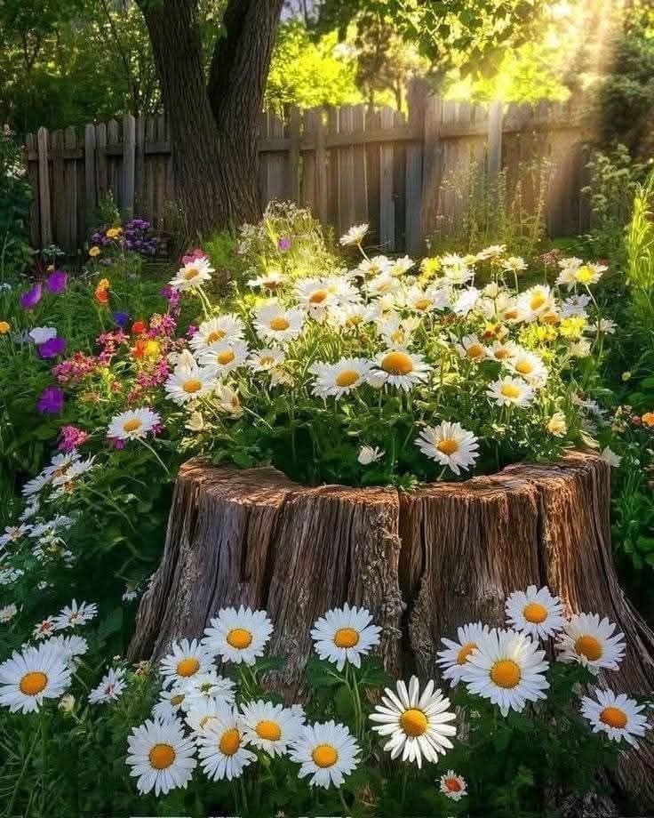 MANOLO EXPÓSITO tweet media