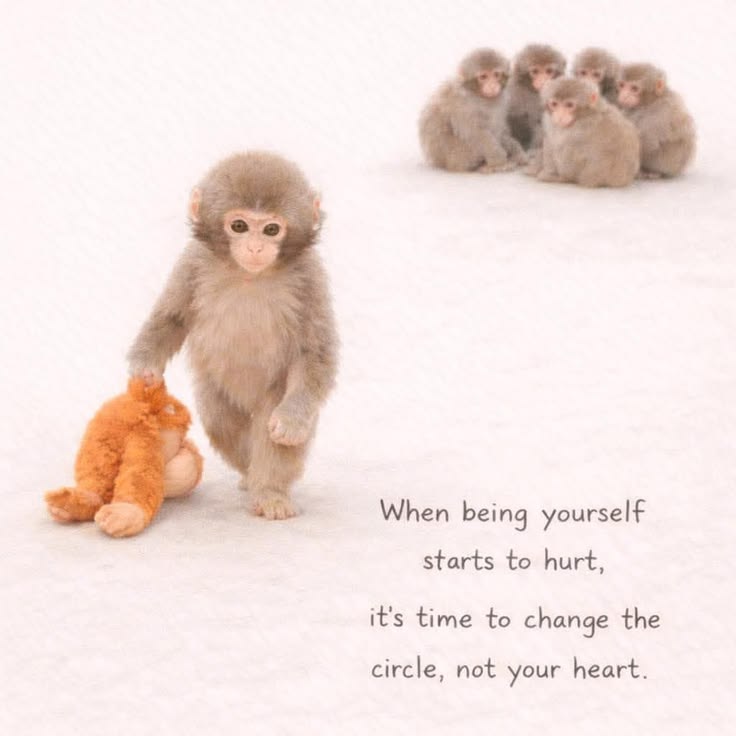 POSITIVITY tweet media