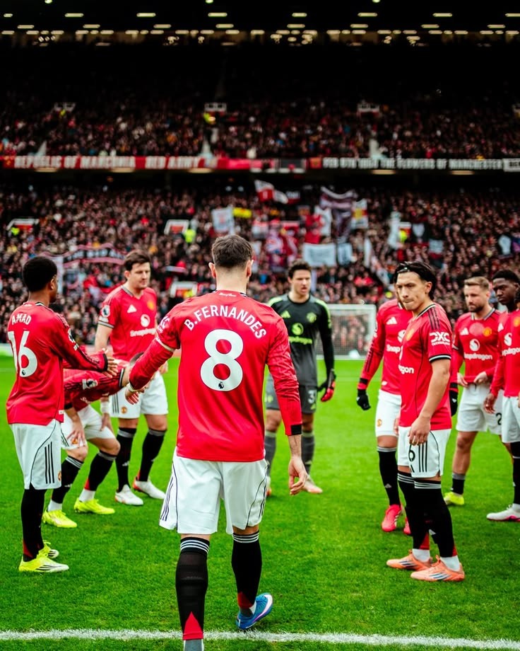 Shittu pelumi tweet media