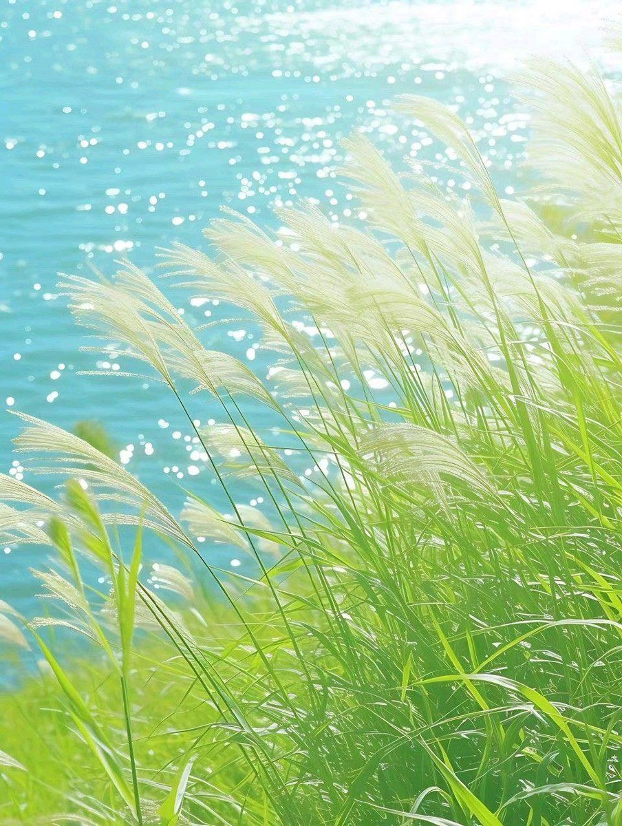 𝑙𝑦𝑟𝑎 tweet media