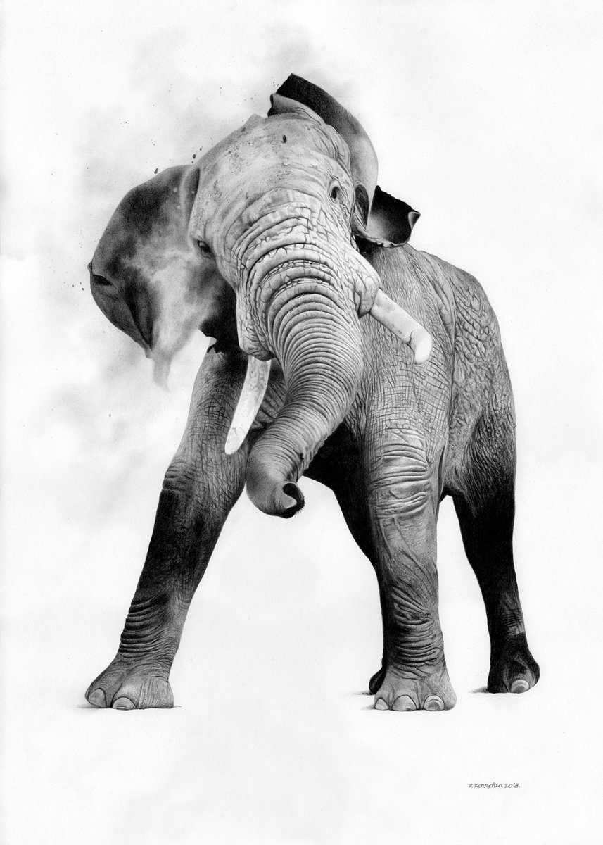 Fernando Ferreiro tweet media