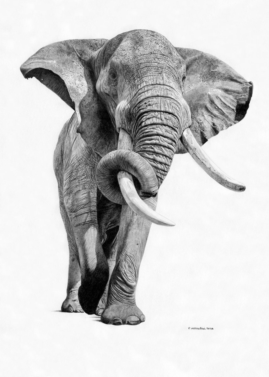 Fernando Ferreiro tweet media