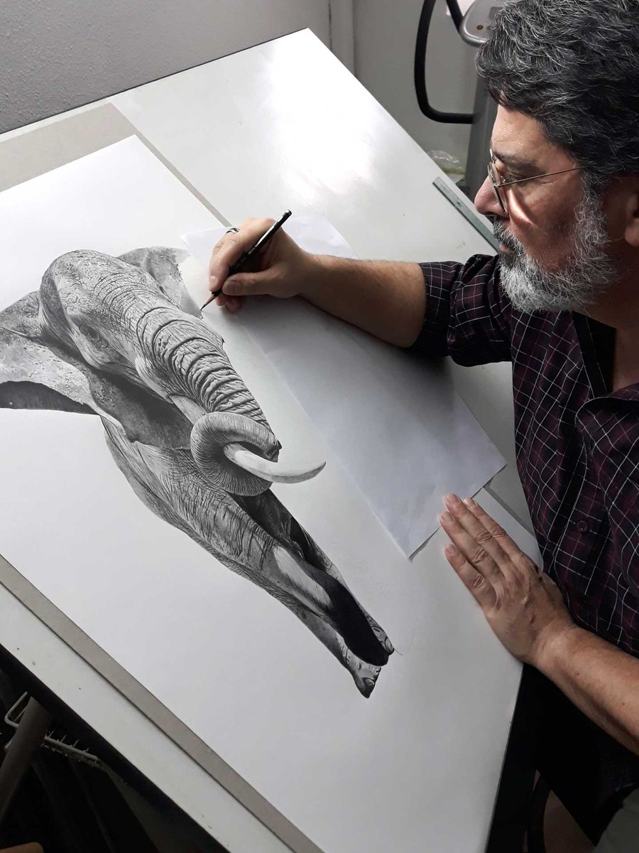 Fernando Ferreiro tweet media