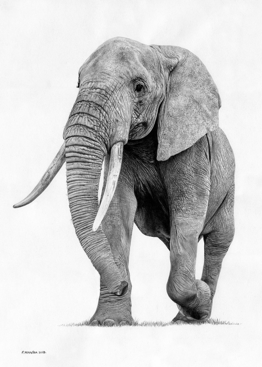 Fernando Ferreiro tweet media