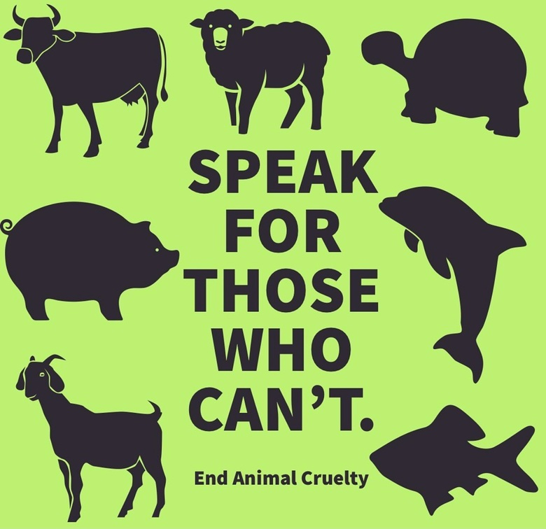 Vegan Future tweet media