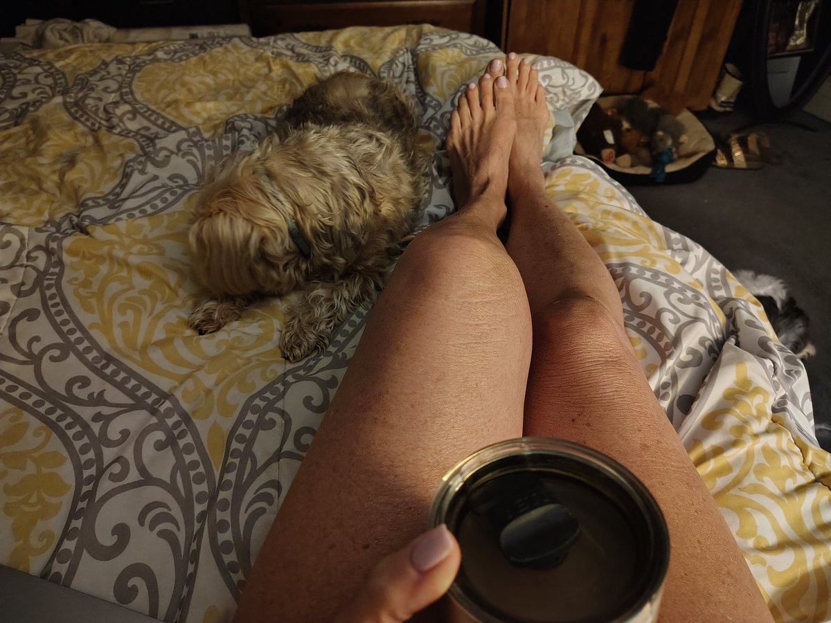 Hippychick tweet media