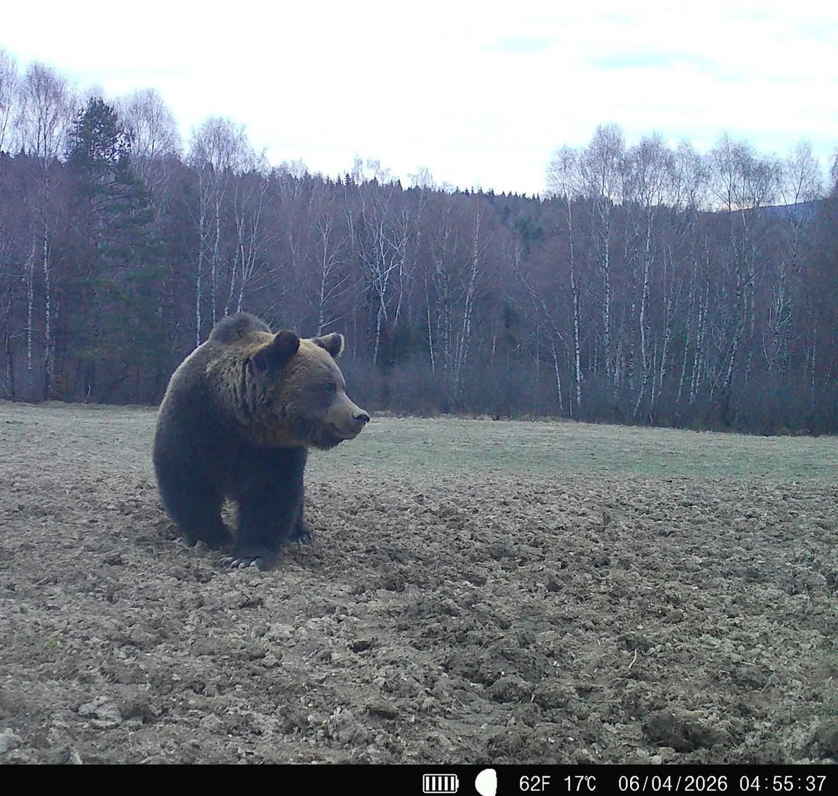Paweł 🇵🇱 tweet media
