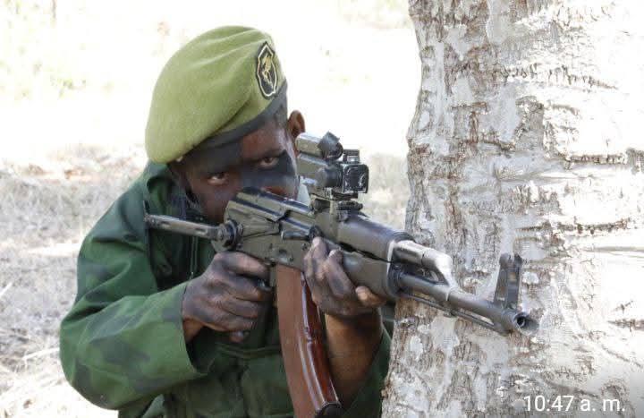 Ejército Oriental tweet media