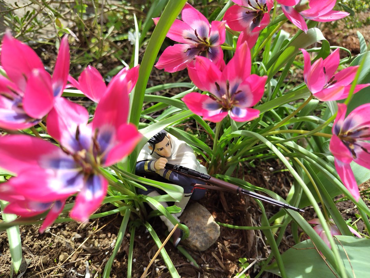 アンチョびパナコ（②等卒） tweet media