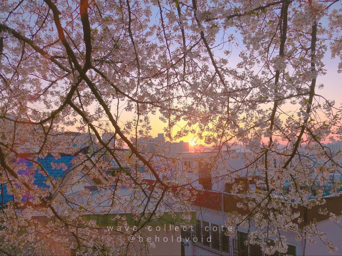 𝚌𝚘𝚝𝚎 tweet media