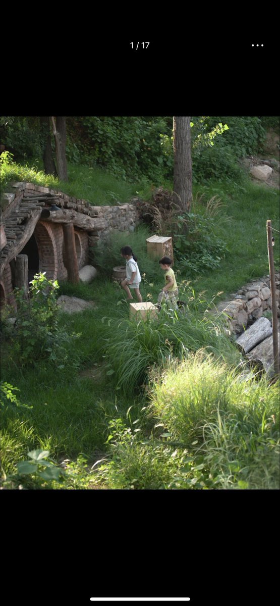 Tarkan Acar tweet media