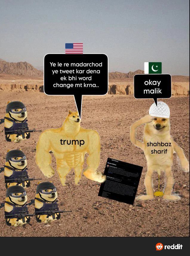 Vagsheer tweet media