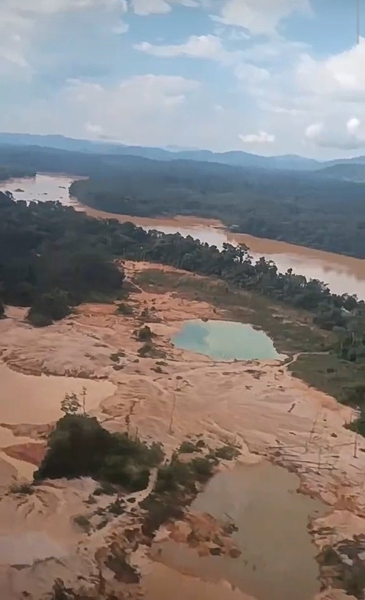 Fritz Sanchez tweet media