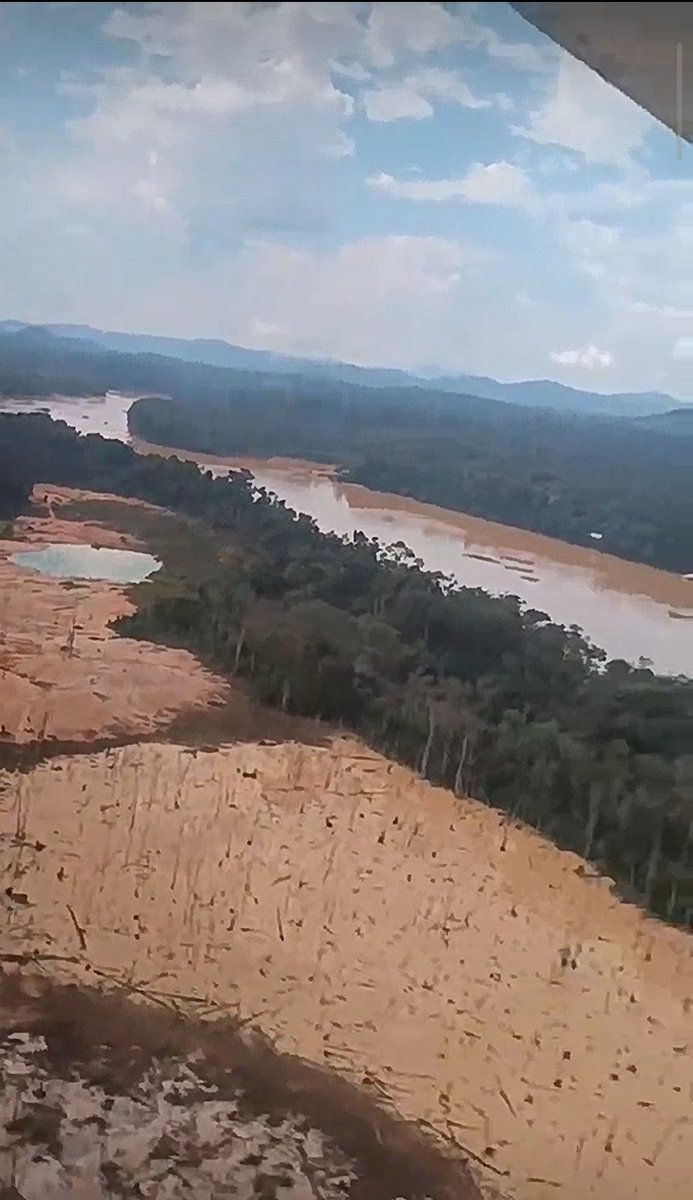 Fritz Sanchez tweet media