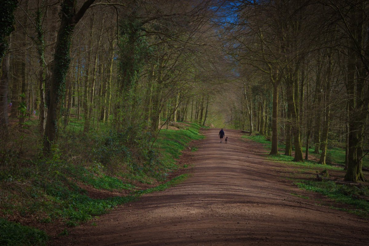 Forest Path #forestfawr #thisiswales #nikon #woods #wayforward #landscape <a href="/visitwales/">Visit Wales 🏴󠁧󠁢󠁷󠁬󠁳󠁿</a> Visit delweddauimages.co.uk