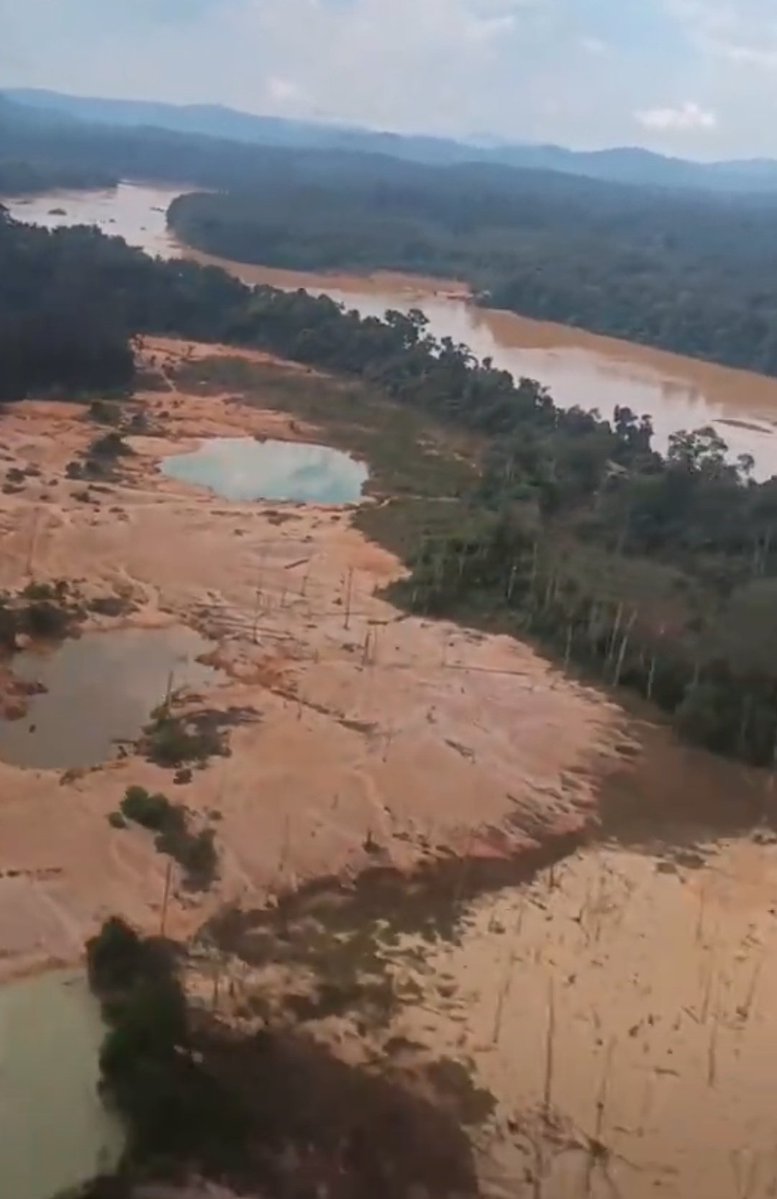 Fritz Sanchez tweet media