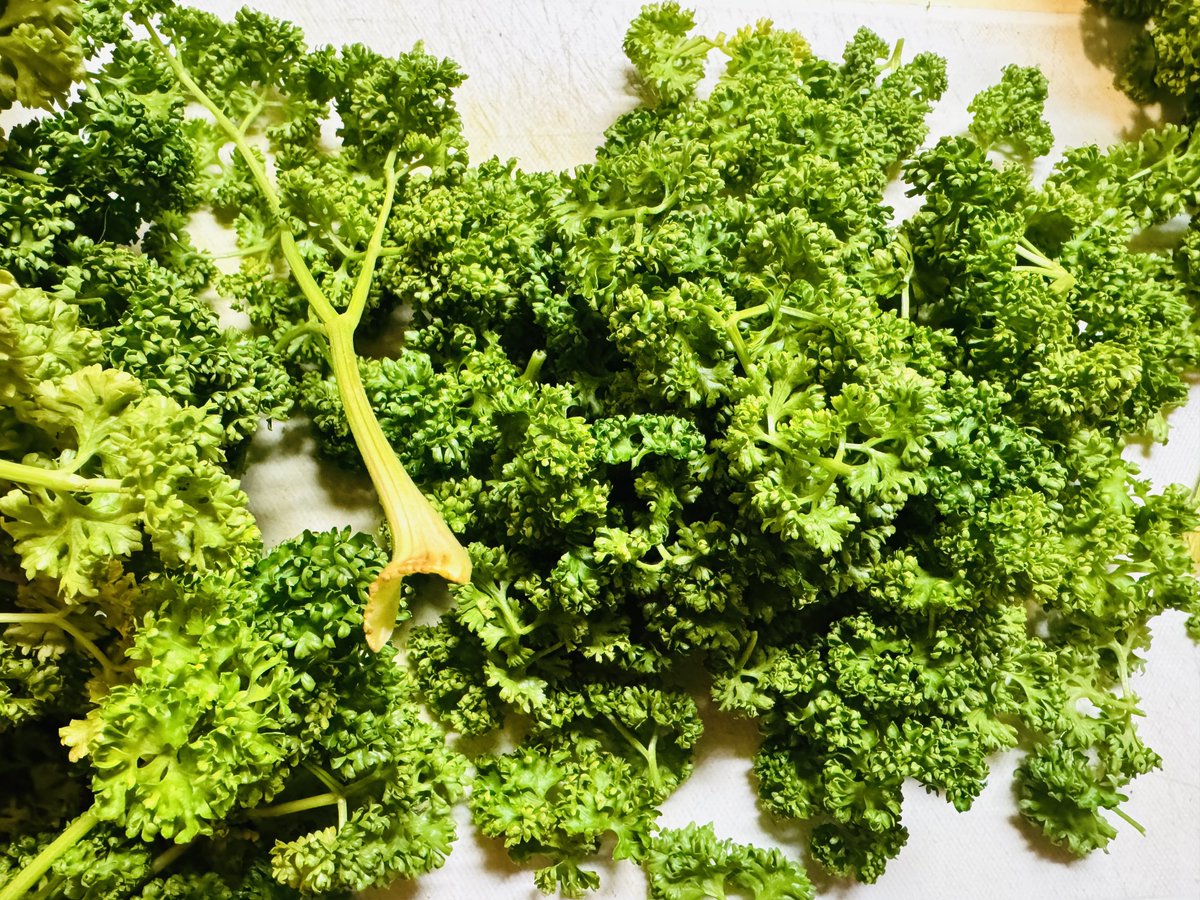 ちゃんごつ tweet media