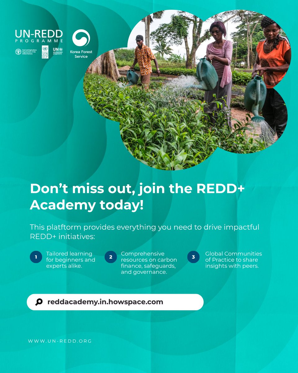UN-REDD Programme tweet media