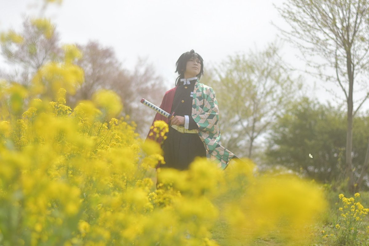 もんざえもん🌸銀河から戻れないまま… tweet media